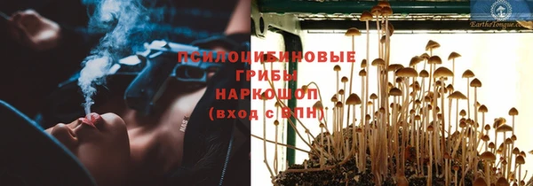 бошки Балахна
