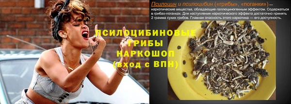 ПСИЛОЦИБИНОВЫЕ ГРИБЫ Баксан