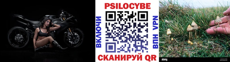 Псилоцибиновые грибы Cubensis  дарк нет Telegram  Валдай  купить наркотики цена  blacksprut ССЫЛКА 